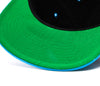 Electric Blue/Black RW Logo Snapback Hat